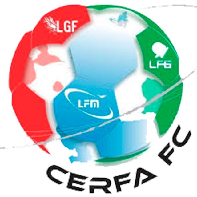 CERFA Sub 19