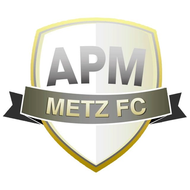 APM Metz Sub 19