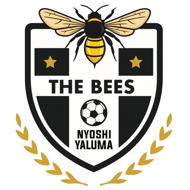 The Bees FC