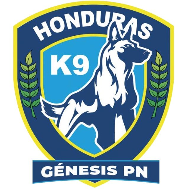 Génesis PN
