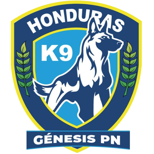 Génesis PN