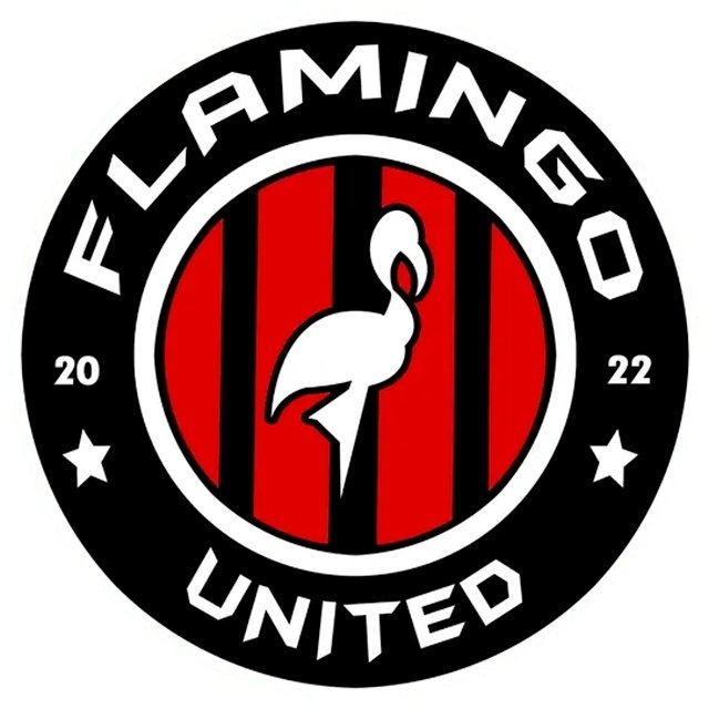 Flamingo United II