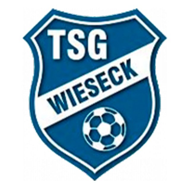 TSG Wieseck U17