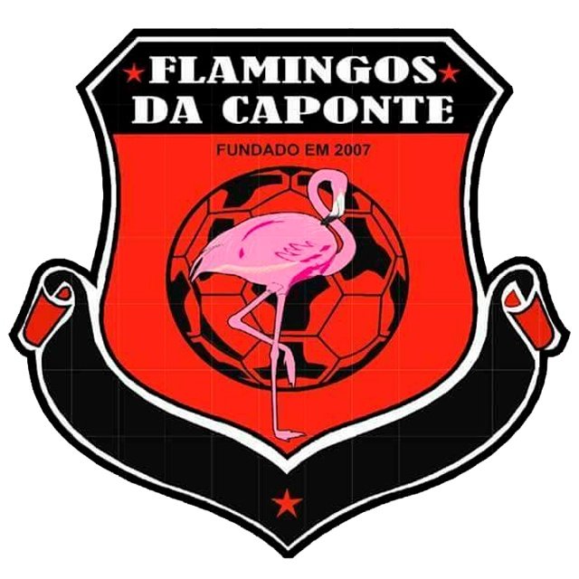 Flamingos da Caponte