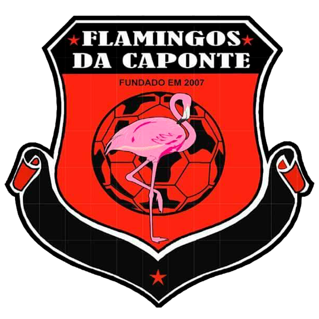 Flamingos da Caponte
