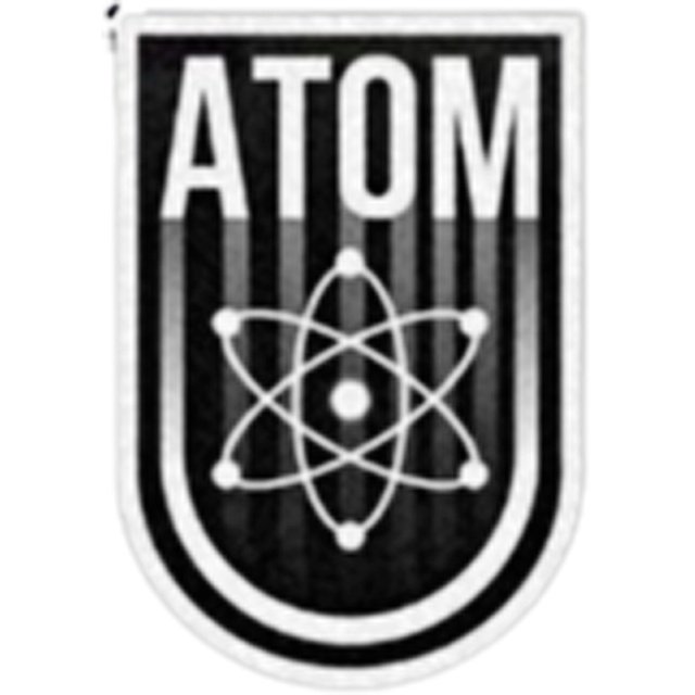 Atom Mogilev