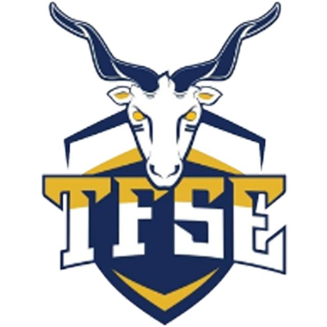 TFSE Budapest