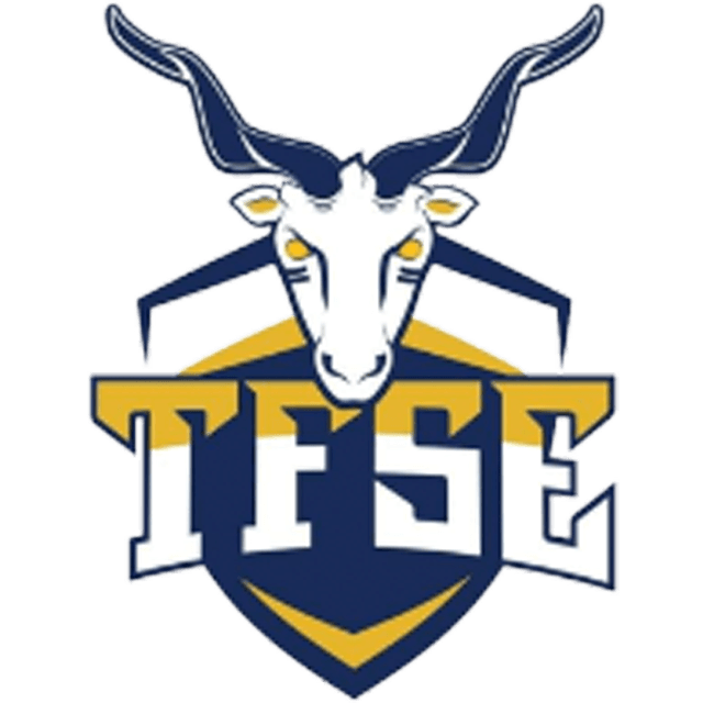 TFSE Budapest
