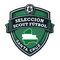 Scout Fútbol U15