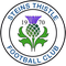 Steins Thistle