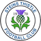 Steins Thistle