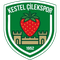 Kestel Cilekspor