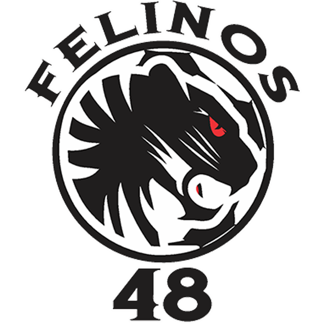 Felinos 48