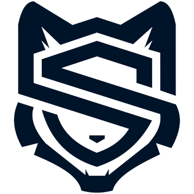 Saltillo Soccer