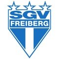 Escudo del Freiberg