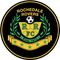 Rochedale Rovers