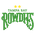 Tampa Bay Rowdies