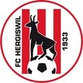 Escudo del Hergiswil