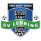 Escudo Lebring