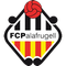 Escudo Palafrugell