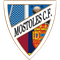 Móstoles CF