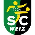 Escudo del Weiz