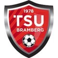 Escudo del Bramberg