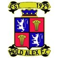 Escudo del Mold Alexandra
