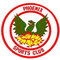 Phoenix Sports