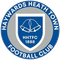Haywards Heath Town