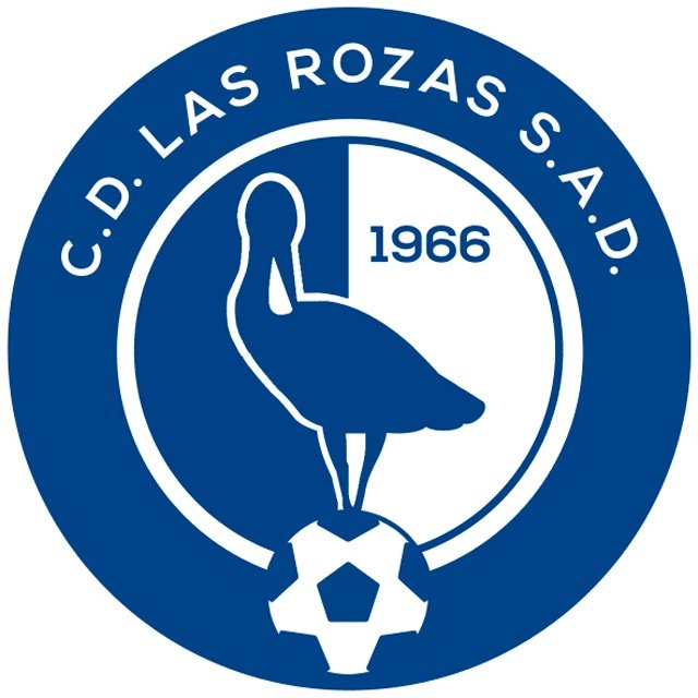 Las Rozas CF D