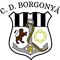 Borgonyà