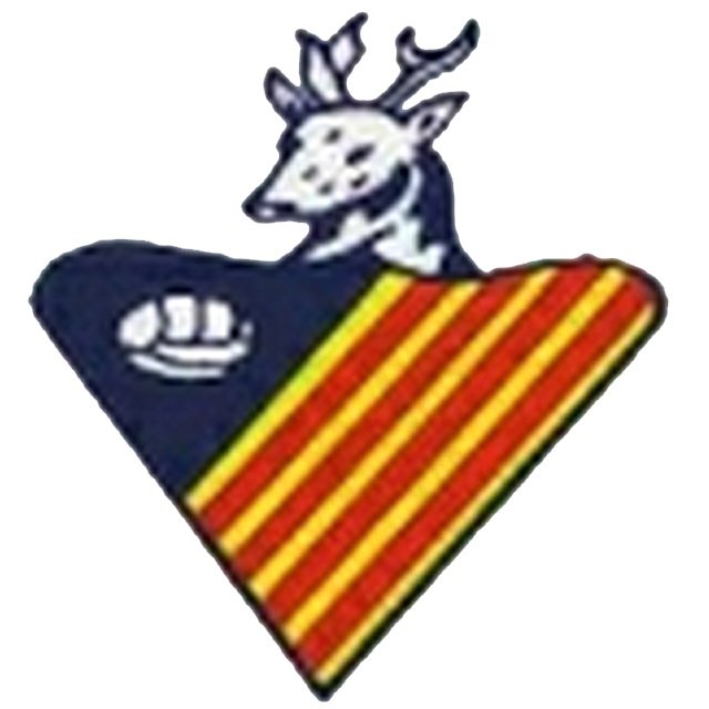 Cervello B