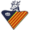 Cervello B