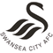 Swansea City