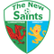 The New Saints