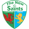 The New Saints