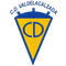 Escudo Valdelacalzada