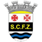 Ferreira Zêzere