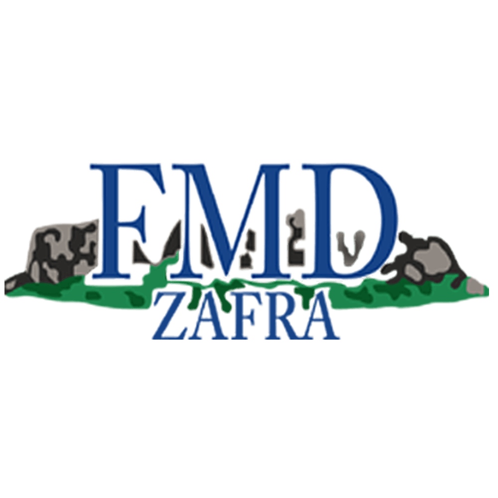 FMD Zafra U11 D