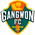 Gangwon FC
