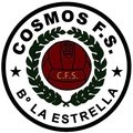 Cosmos FS