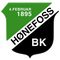 Hønefoss