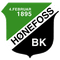 Escudo Hønefoss