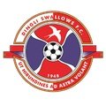 Escudo del Dingli Swallows