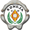 Soneja