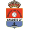 Escudo Caudete Fuentes