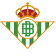 Rueda de prensa de Manuel Pellegrini y Pablo Fornals previa al Real Betis - Feyenoord Real Betis