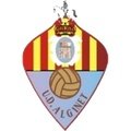 Escudo del Alginet C