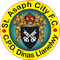 St Asaph City